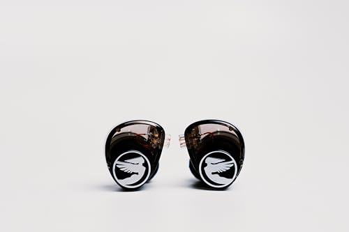 Image of Jessie Universal IEM in Ear Monitor Earbuds, Black