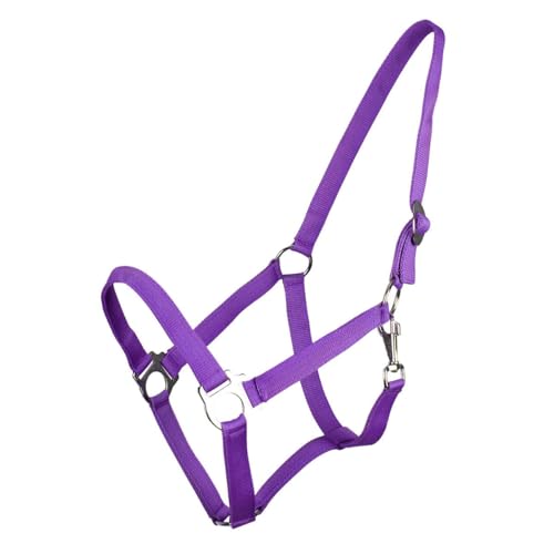 Cabestro QHP con Cremallera para evitar rozaduras en caballos sensibles