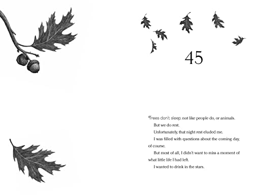 Image of Wishtree