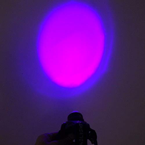 Pandalily Led Headlamp Portable Dual Leds Zoom White + Uv Light Headlamp Battery Powered Blacklight Perfect For Runners, Lightweight, Waterproof, Adjustable Headband #TOP2