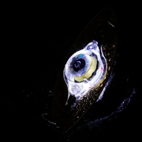 Luces de pesca LED submarinas para evitar la pérdida de cebo en la noche 6