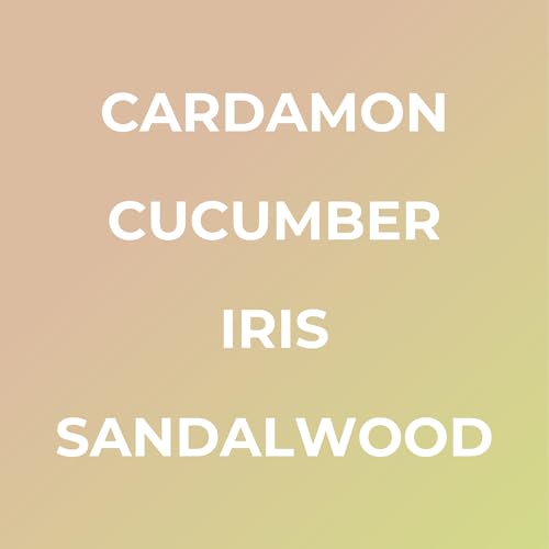 Image of Car Air Freshener - Premium Car Hanging Air Freshener, Long-Lasting Fragrance for Auto and Home (0.2 Fl Oz (Pack of 1), Lush - Cardamon, Iris, Cucumer, Sandalwood)