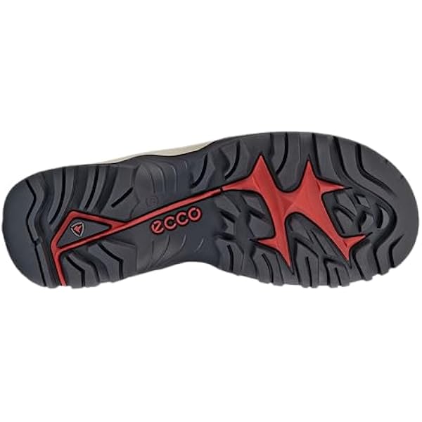ECCO Мужские сандалии Ecco OffroadSandals