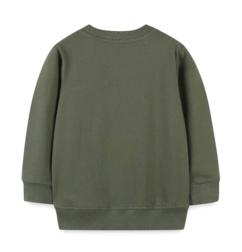 Boys Sweatshirts Long Sleeve Sweatshirts T-shirts Crew Neck Cotton Casual Sweatshirts Cartoon Tops for Boys-782