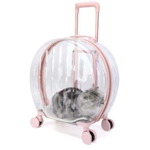 WyazzivsNLX[cP[XLX^[&bNyPC+AN ʋC яoh~tbNt hВʉ@s (XgCvsNł)