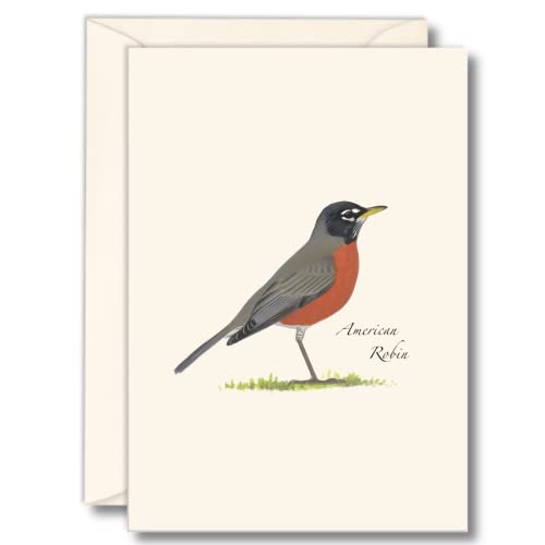 Image of Earth Sky + Water - American Robin Notecard Set - 8 Blank Cards with Envelopes