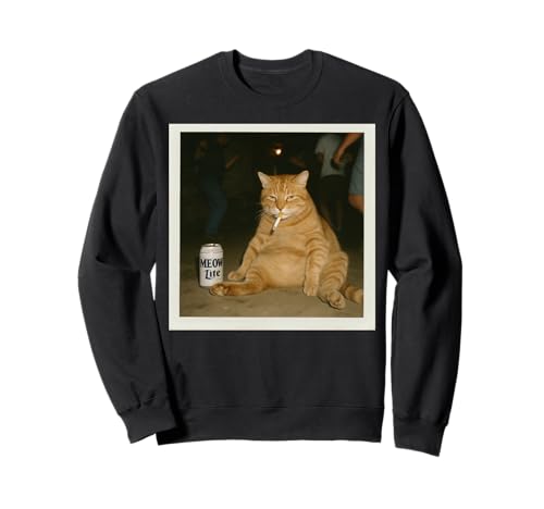 Humour Brainrot Stupide Chat: Meow Lite Party Meme Sweatshirt