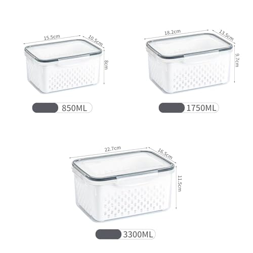 Récipient alimentaire design à double couche plastique efficace pour aliments frais - 4