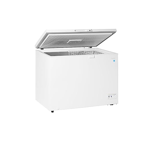 commercial freezer 2026 33