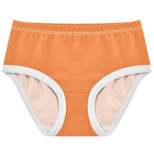 Joisal Cotton Girls Underwear Toddlers Tropical Orange Panties for Girl Bright Kids Briefs Undies 2t