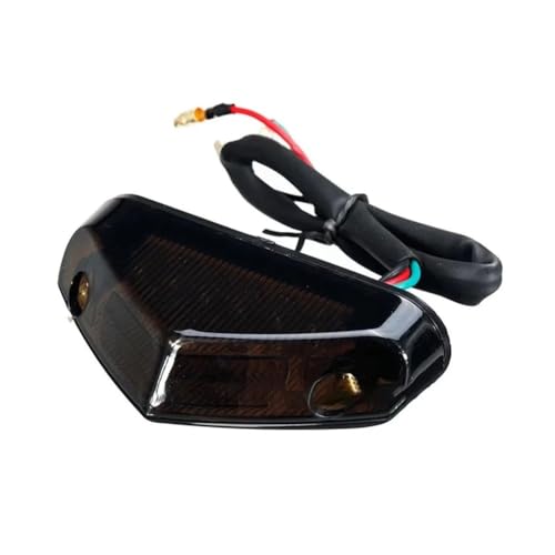 Feu arrière de moto à LED 12V avec éclairage de plaque d'immatriculation pour moto