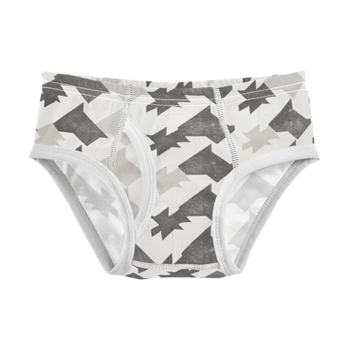 KLL Houndstooth Black and White Boys Toddler Cotton Briefs Cute Undies