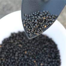Farmers choice DAP Fertilizer for Home Plants and Gardening Purpose Water Soluble | Di Ammonium Phosphate | Plant Nutrient & Plant Food (500 G.), Powder (B08SSFVG6F) Amazon Price History, Amazon Price Tracker