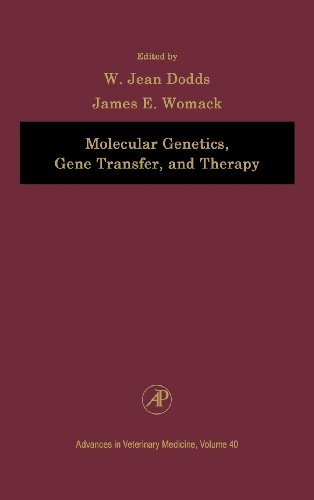 Molecular Genetics, Gene Transfer, and Therapy (ISSN Book 40)