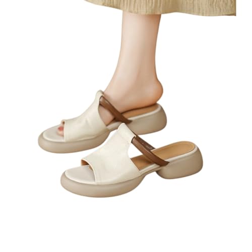 [Miflaier] q[T_ p  \tgC\[ Ă̂~[ v ~߃S i yʐ݌v ɗD l [t@[T_