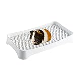 Genérico Vassoio sanitario per conigli – PP 33 x 25 x 4,2 cm | per WC per coniglietti, vasino, formatore, padella resistente per animali domestici per adulti, conigli, criceti, C