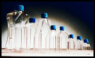 Tissue Culture Flask - 70 mL. (200/cs)