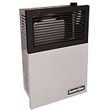 Comfort Glow 8,000 BTU Direct...