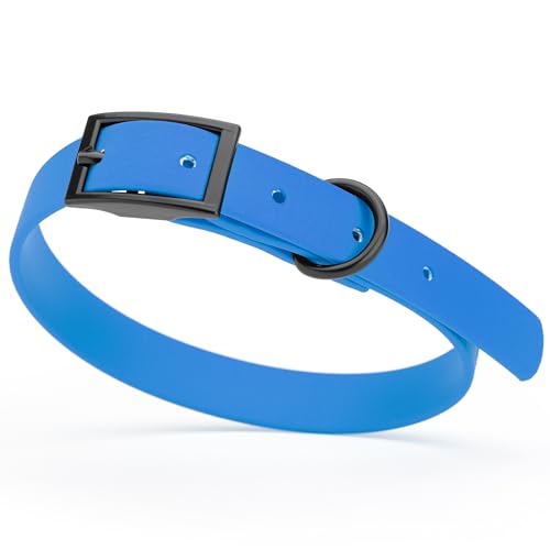 Image of Dogline Biothane Waterproof Dog Collar Strong Coated Nylon Webbing with Black Hardware Odor- Proof for Easy Care Easy to Clean High Performance Fits Small Medium or Large Dogs, Cerulean Blue