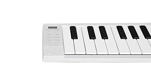 MidiPlus Piano électrique portable pliable de 88 touches - Les Beatles, Paul McCartney, John Lennon, RIngo Starr, George Harrison MidiPlus Piano électrique portable pliable de 88 touches – Image 5