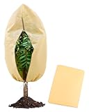 Yubpaiy Winterschutz für Pflanzen 80x120cm, 2 Stück Wiederverwendbarer Pflanzensack mit Zugband/Reißverschluss Winterabdeckung für Olivenbaum, Palmen & Sträucher