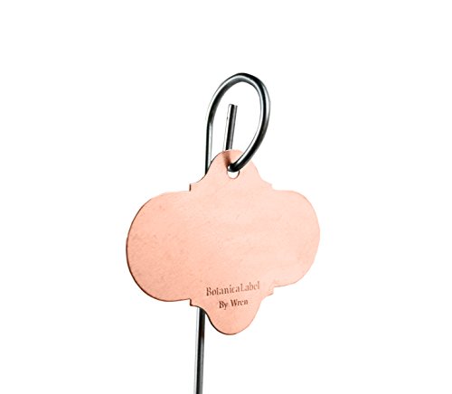 Bosmere Wren H438 21-Inch Stainless Steel Stake with Copper Re-Usable Plant Tag, 6-Pack