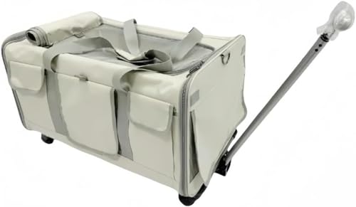 Barino L L[obO ybg L[J[g Lp L[ J[g 2CLp LX^[t X[cP[X |[^uX[cP[X e ܂ݎ obO g\  Lp bNL[ U s ʉ@ g[[P[X 