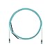 Panduit LCBX500-38F-6