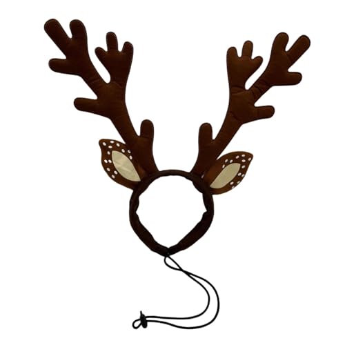 NX}Xe[}̒߉\Ȏ}p̂Ԃƃybgp_炩nߑANZT[Ƒ̏W܂̎ʐ^̏Kȃybg̃NX}X