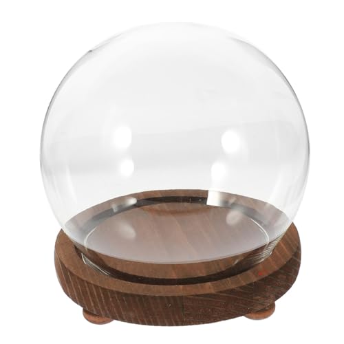 NUOBESTY Globe Verre Transparent avec Socle Bois Cloche Décorative pour Fleurs Éternelles...