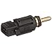 Delphi TS10544 Temperature Sensor