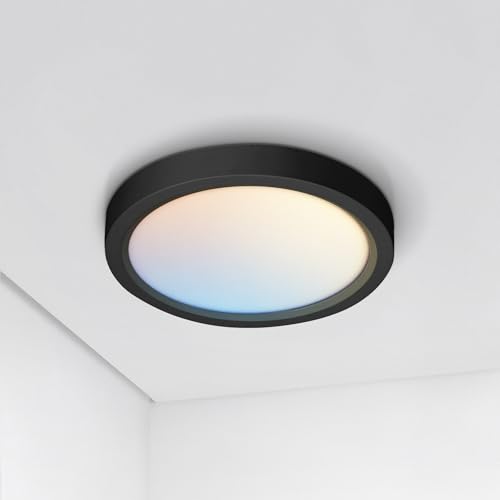 ASD LED 5