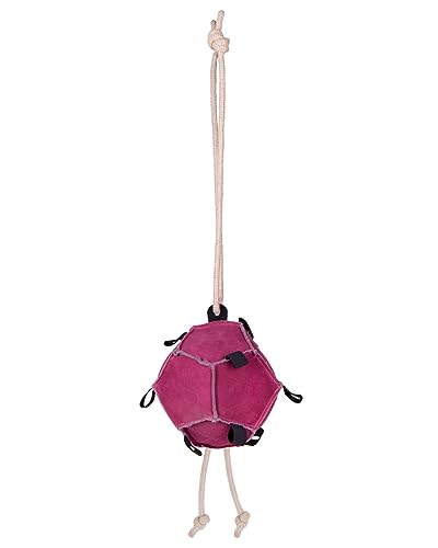Equiland Pferdespielzeug Ball, Möhrenball, Beschäftigung und Spielzeug für Pferde | Futterspielball | | Stressabbau | Leckerli-Ball (Pink)
