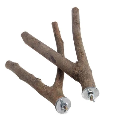 Beavorty 2pcs Natural Wood Bird Perch Stand for Parrots Cockatiels and Conures Fork Design for Chewing and Playing Easy to Install Birdcage