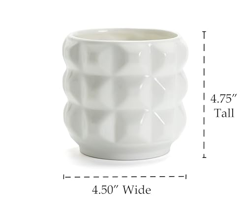 Arktiva Ceramic Planter Pot with Drainage Hole, 4.5 Inch Dia, Indoor and Outdoor, Home Patio Garden, Plants Flower Succulent, 3D Patterned Round (White)
