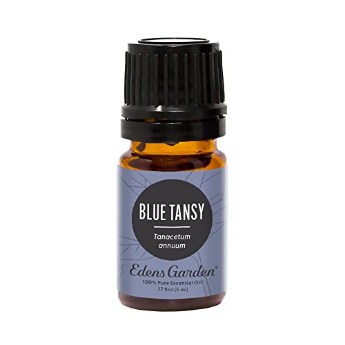 Edens Garden Blue Tansy Essential Oil, 100% Pure Therapeutic Grade (Undiluted Natural/Homeopathic Aromatherapy Scented Essential Oil Singles) 5 ml