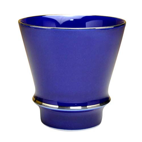 ĒOX ĒJbv  { Lc  v[g ̏ĒOX 