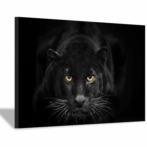 Art mural léopard noir tableau imprimé sur toile 30x45cm encadré