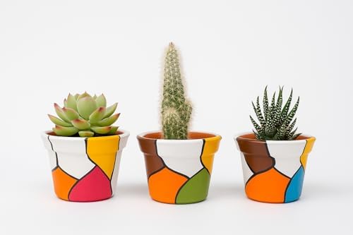 Kit 3 Vasos de Cerâmica Pintados à Mão – Design Abstrato Colorido...