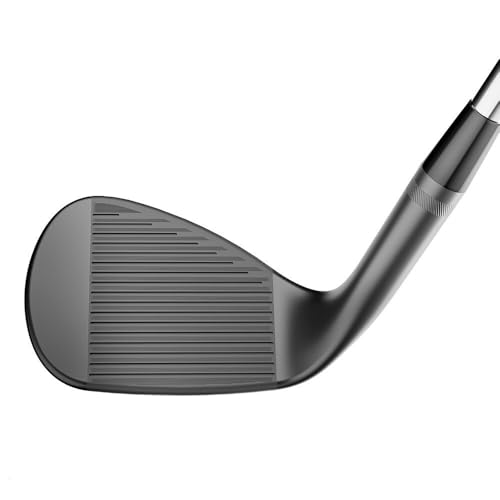 Titleist Wedge Vokey SM10ニッケルDG S200 5414F 3枚目