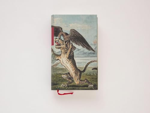 Der Schweizerische Robinson (Die Andere Bibliothek, Band 383)