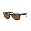 Black on Transparent/Brown