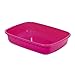 ICA gp10539 Tray Health Junior Without Frame