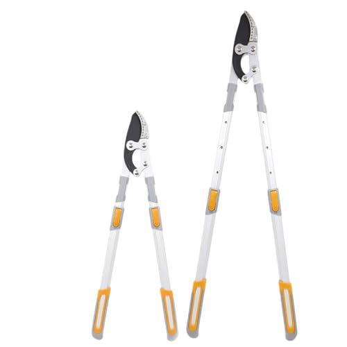 Lamantt ΂ y` Lk   | H y A~nh ʎ |pi AEghAƒp (ȐLk^TCYi70`95.5cmj)