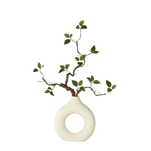  ΂̐AV~[VrO[ItBXƋZ~bNԕr(炢)