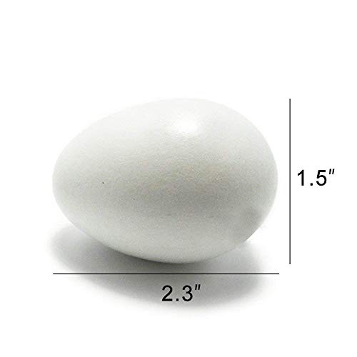Sallyfashion Wooden Fake Eggs,9 Pieces White Wooden Easter Egg Wood Eggs For Crafts Easter Home Decor #TOP1