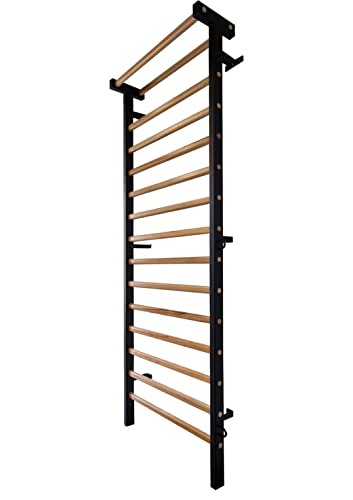 ARTIMEX espaldera Metal/Madera para Fisioterapia y Gimnasia - Utilizado en hogares, gimnasios, clínicas y centros de acondicionamiento físico - código 221-M-Negro
