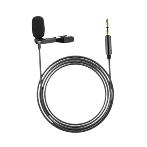 �r���������� �p�t�H�[�}���X�C���^�r���[�r�f�I��c�̂��߂�3.5mm�W���b�N����������y���}�C�N