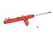 KYB 733036 AGX Gas Strut , Red