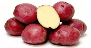 POTATOES RED FRESH PRODUCE 5 LBS